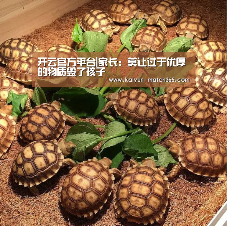 开云官网