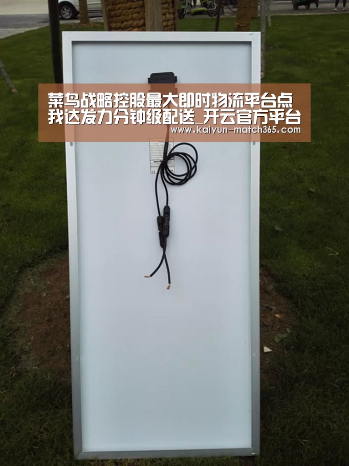 菜鸟战略控股最大即时物流平台点我达发力分钟级配送_开云官方平台(图1) 开云官网